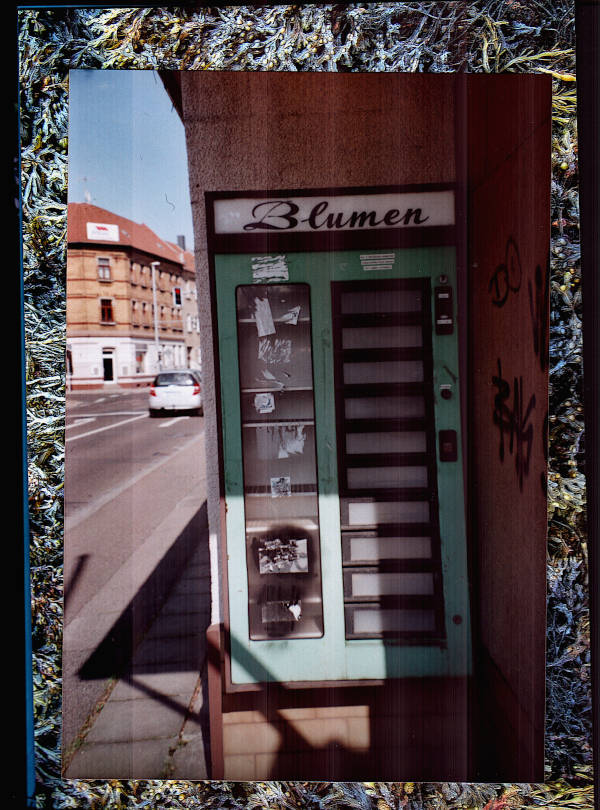 flower automat