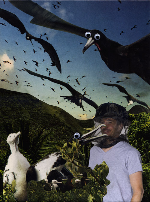 white guy from an outdoor equipment catalogue in a grey t-shirt with a mosquito net hat grins on a caribic island infront of a bird family. There are angry birds attacking from the air.