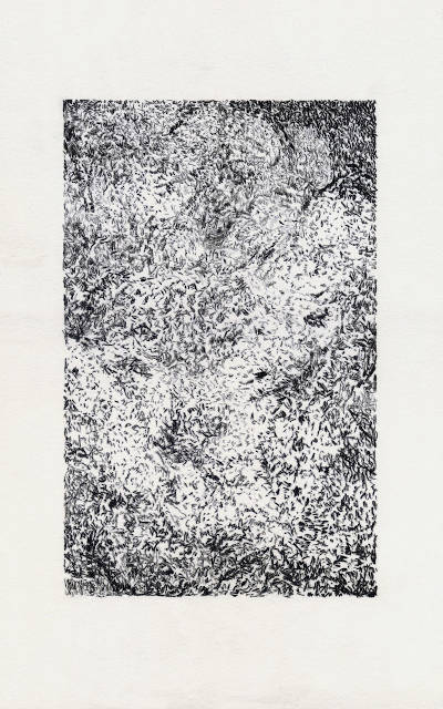 wet cotton, carbon trace drawing