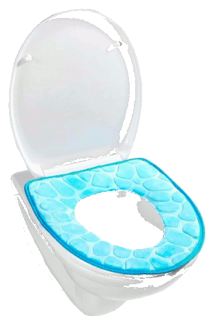 memory foam another memory foam product, used as a toilet seat.