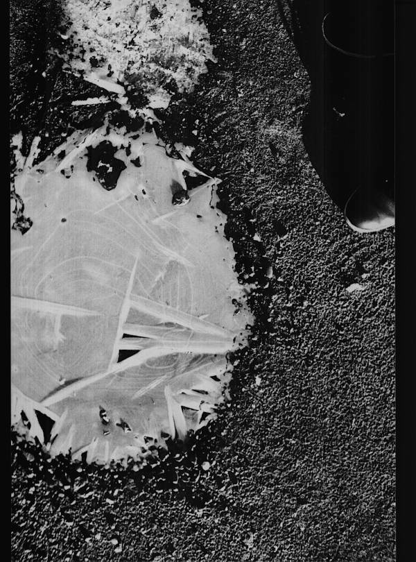 a larger puddle. The photographer’s boot came into picture by accident.