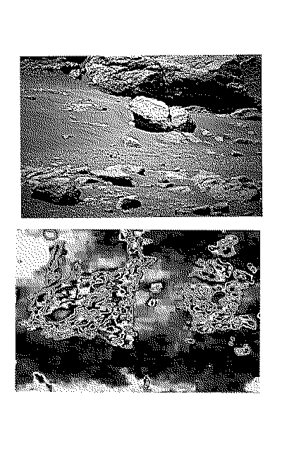Two Dry Public Fountains Elsewhere black and white picture from Mars and heavy image manipulation effect alien map