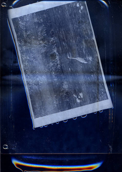 heron 1 scan image. a heron stands in the river and waits for fish. The laser printed black and white photography floats in the water pool