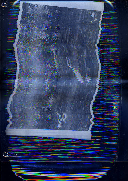 heron 2 scan image. the same heron print but the water is touched and many glitch lines appear while scanning because of all the disturbances