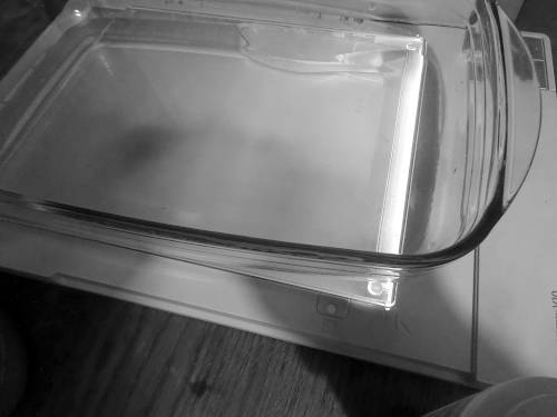 setup glass lasagna oven form on opened flatbed scanner