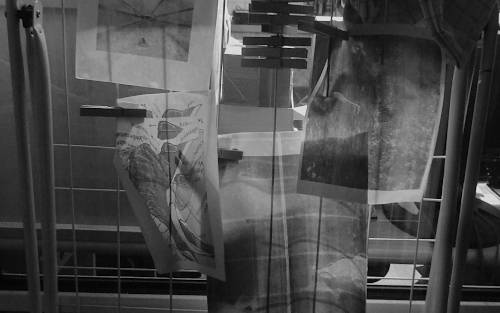 dry the wet prints are hung outside to dry.