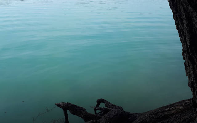 lake picture. green water