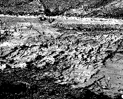 meandering mud Loamy mud meanders over wet road on construction site
