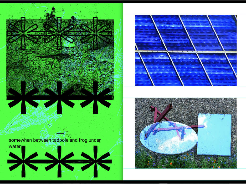 layout preview of a double page. left page green with tadpole image, right page white with solarpanel and flowers