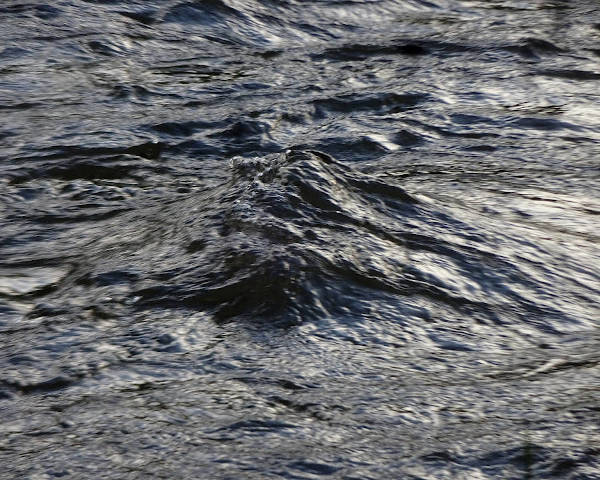 water masses of a small river form a tiny water mountain. photographic snapshot