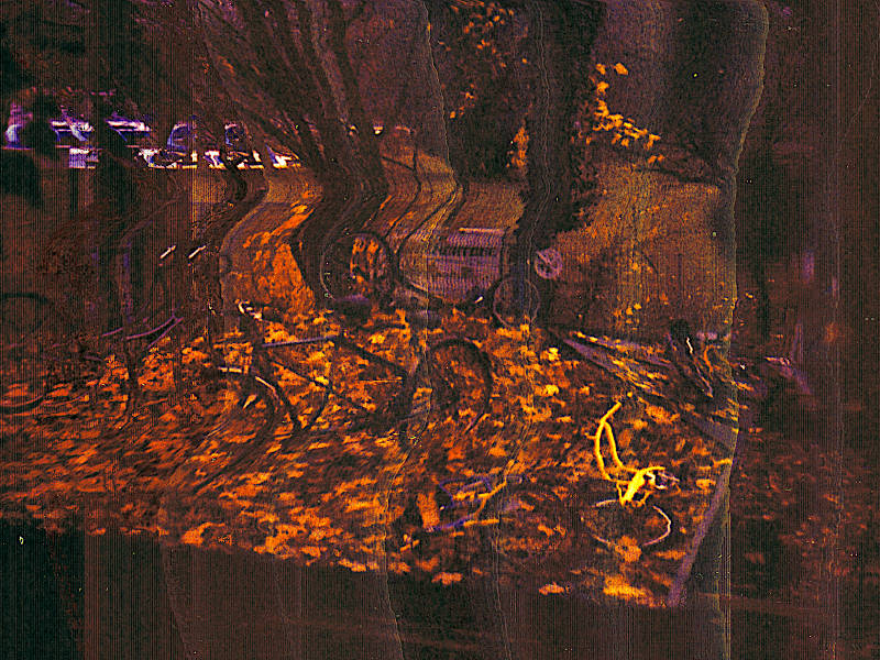 A collage of bicycles on a leaf-covered roof. Weird bike glitch photography.