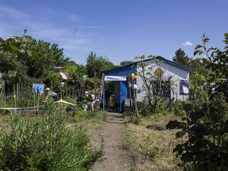 picture of the exhibition space in the garden, visitors looking at the art, decorated entrance banner with balloons and many garden plants