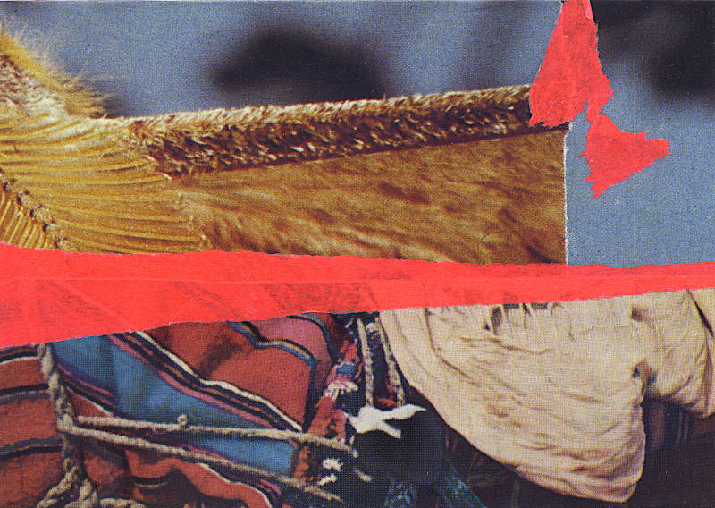 colorful cloth and an insect (moth?)