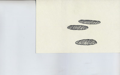 three thin clumps, pencil drawing on paper