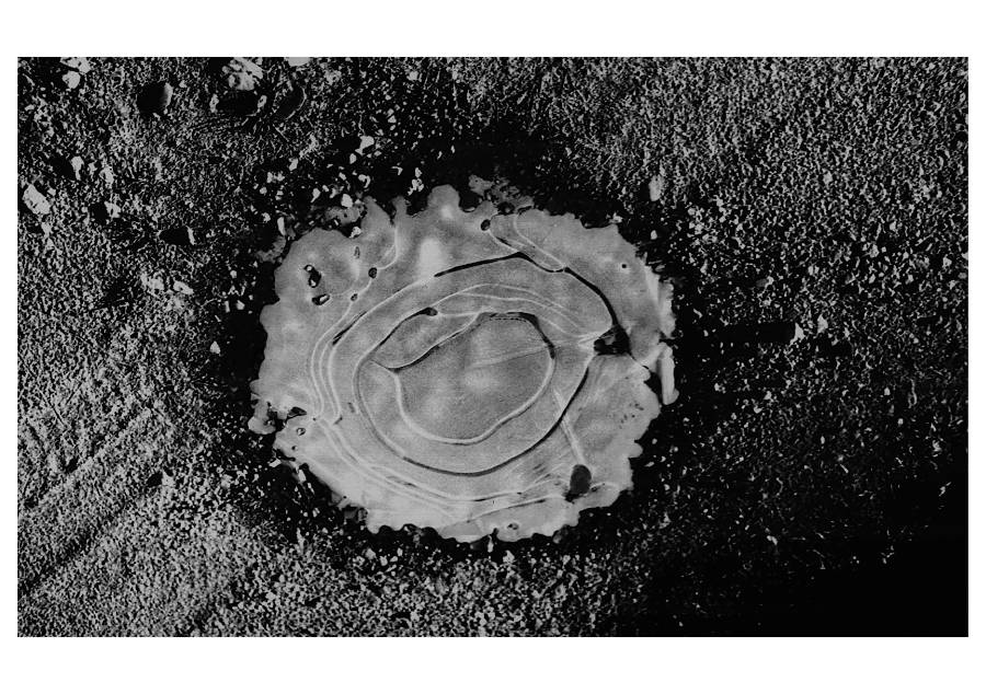 black and white photography of a frozen puddle on the ground.