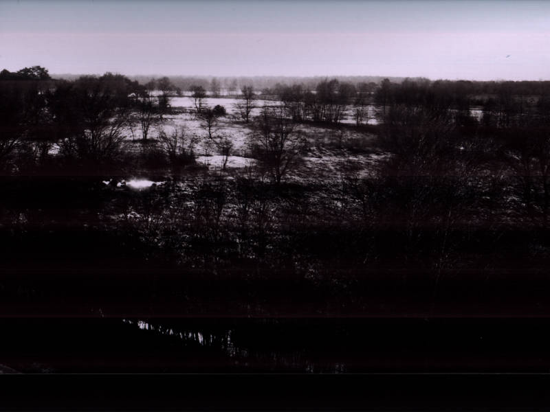 black and white photo of a winter bog landscape